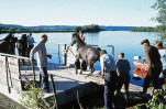 Hestetransport med flåte