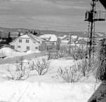 Snøvinter på 1950-tallet