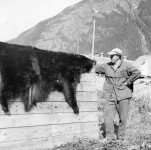 Bjørnejakt i Canada