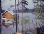 Flom på hytta