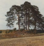 Gravhaug ved Søndre By